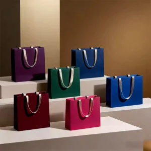 Paper Shopping Gift Bag