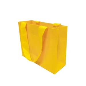 Paper Shopping Gift Bag for Clothing
