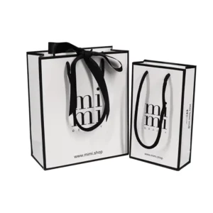 Paper Shopping Gift Bag with Tissue Paper