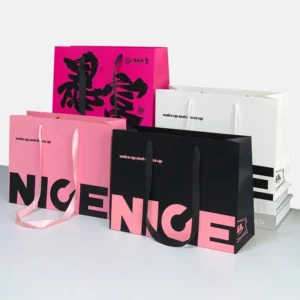 Paper Tote Gift Bag With Custom Logo, For Women’s Clothing And Shoe Boxes