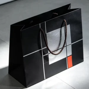 Personalized Printed Paper Gift Bag with Twisted Rope Handles, Custom Size and Design