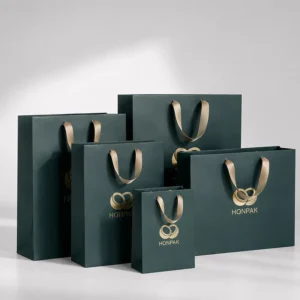 Personalized Recyclable Paper Gift Bag with Ribbon Handles and Colored Cardboard for Boutique Fashion