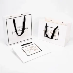 Premium Recyclable Eco Friendly Custom Printed Kraft Paper Gift Shopping Bags with Elegant Satin Ribbon Handles