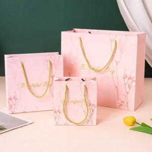 Printed Recyclable Shopping Gift Paper Bag with Ribbon Handle