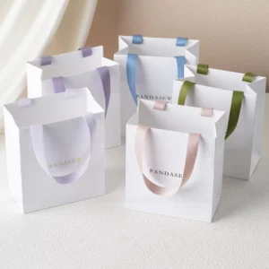 Printed Recycled White Kraft Paper Gift Bag with Ribbon Rope Handle