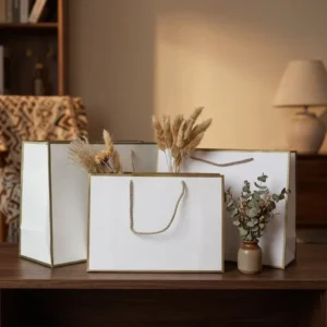 Recyclable Art Paper Clothing Packaging Bag with Handles, Custom Logo