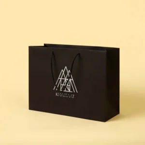 Recyclable Biodegradable Custom Paper Shopping Gift Bags with Logo for Clothing