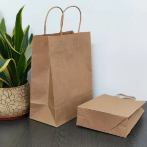 Recyclable Brown Kraft Paper Shopping Gift Bag with Custom Printing