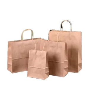 Recyclable Kraft Paper Chocolate Takeout Bags with Paper Handle