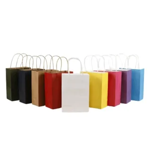 Recyclable Kraft Paper Gift Bag with Twisted Handle, Stand-Up Design