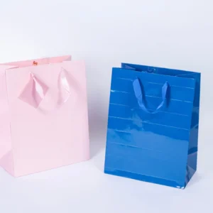 Recyclable Kraft Paper Gift Bags with Custom Printing, Ribbon Handles, Gold Foil for Wedding and Christmas Gifts