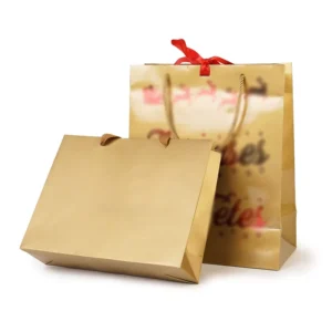 Recycled Kraft Paper Shopping Gift Bag with Soft Touch Lamination and Digital Printing