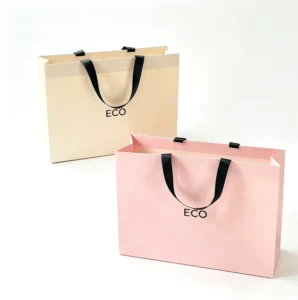 Reusable Custom Color Paper Shopping Gift Bag with CMYK Logo Printing