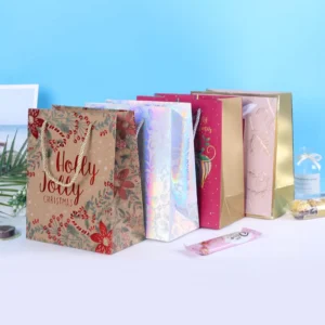 Ribbon Handle Paper Gift Bag Personalized Design Coated Paper Packaging Bag for Boutique Retail