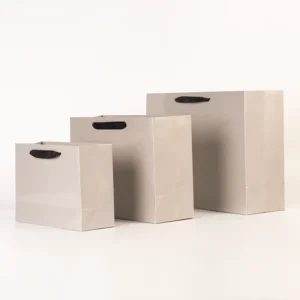 Ribbon Handle Plain Paper Gift Shopping Bags with One-Color Logo Printing