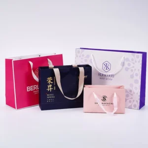 Shopping Gift Paper Bag with Handle Closure and Custom Logo