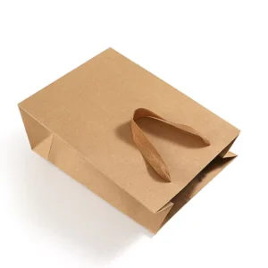 Small Paper Gift Bags