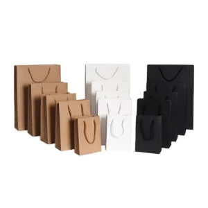 Small Vertical 13*19*6cm White and Black Card Paperboard Bag, Recyclable, Screen Printed, Varnished