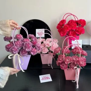 Solid Color Macaron Paper Gift Bag for Flower Packaging