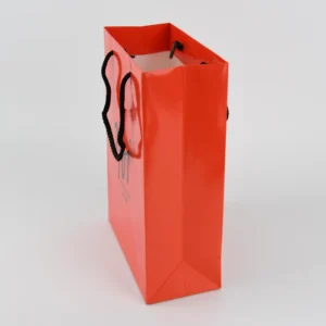 Valentine’s Day Gift Shopping Paper Bag, Recyclable, With Logo