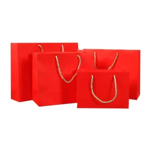 Wedding Gift Paper Bag