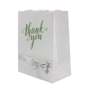 White Gift Paper Bag With Ribbon Bow Handle Printed Recyclable Kraft Paper Packaging Bag for Jewelry and Cosmetics