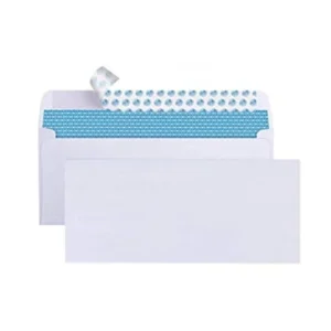 #10 Security Self-Seal Mailing Envelopes with Windowless Design
