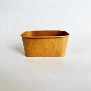 1000ml Rectangular Disposable Kraft Paper Food Serving and Snack Tray