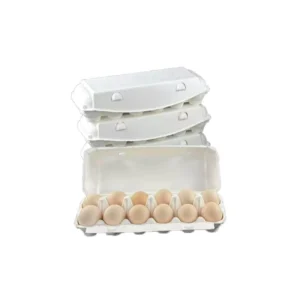 12-Cell Molded Pulp Egg Carton, Recyclable Paper Egg Box for Poultry Farms and Retail