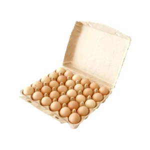 12-Cell Recyclable Pulp Egg Tray