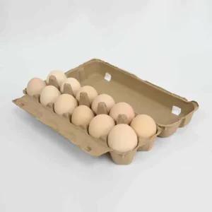 12 Pack Paper Egg Box One Dozen Pulp Egg Tray Stackable Shockproof Carton