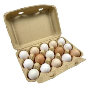15 Cell Biodegradable Pulp Egg Trays Egg Carton Shockproof Recyclable Egg Packaging Box for Transport Storage