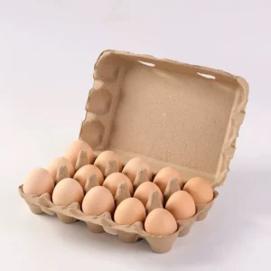 15-Cell Molded Pulp Egg Carton, 15-Pack, White Sugarcane Bagasse for Grocery Stores
