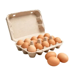 15-Cell Pulp Egg Carton Transportation Packaging