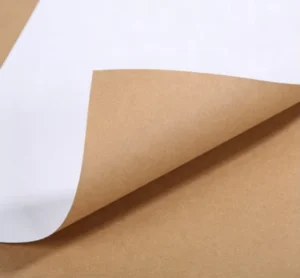 170-450GSM White Top Test Liner Kraft Paper, Brown Back, for Carton Packaging