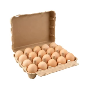 20-Egg Paper-Plastic Storage Carton