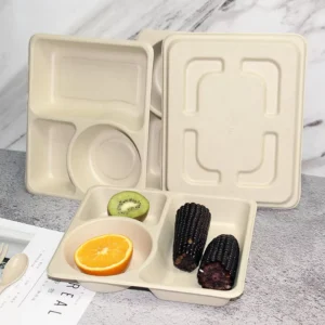 3-Divider Eco-Friendly Disposable Pulp Food Tray with Lid
