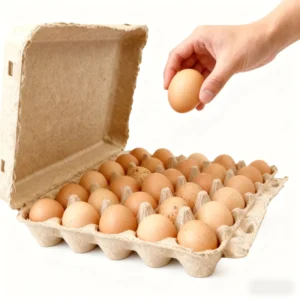 30-Cell Molded Pulp Egg Tray for Free-Range Eggs
