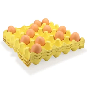 30-Hole Biodegradable Recyclable Paper Pulp Egg Tray