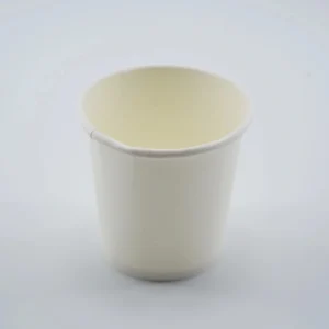 4 oz Disposable Single-Layer Food-Grade Biodegradable Paper Cold Cups with Custom Logo, for Parties, Pack of 200