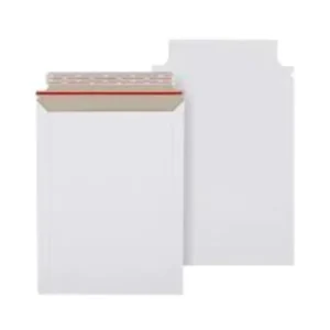 Acid-Free Archival Paper Courier Envelope for Photos, Artwork and Legal Records