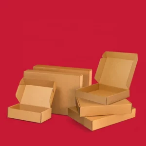 Airplane-Shape Recyclable Foam-Insert Mailer Boxes with Handles and Cardboard Packaging