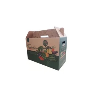 Appel, sinaasappel, banaan en mango fruitkarton met handvat