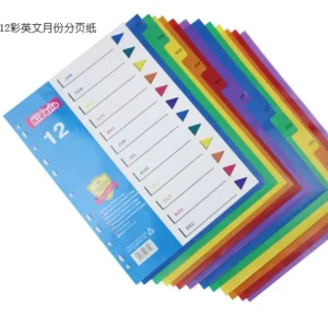 Assorted A4 Size 11-Hole Pre-Punched Waterproof Plastic Divider Set with Extended Indexes for Binders and File Folders