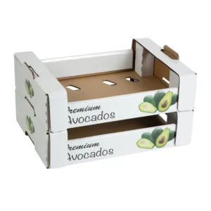 Avocado and Pineapple Fresh Fruit Export Shipping Carton