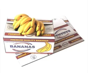 Banana Packing Cartons, Fresh Banana Manufacturer Paper Fruit Boxes in Various Sizes