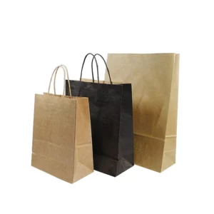 Biodegradable Brown Kraft Paper Food Takeaway Shopping Bags with Custom Logo and Offset Printing, Christmas Style