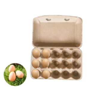 Biodegradable Compostable Pulp Egg Carton with Clamshell Lid, 2 6 12 15 30 Cells