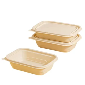 Biodegradable Cornstarch Food Container Bento Box