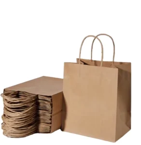 Biodegradable Custom Kraft Paper Bag Supplier